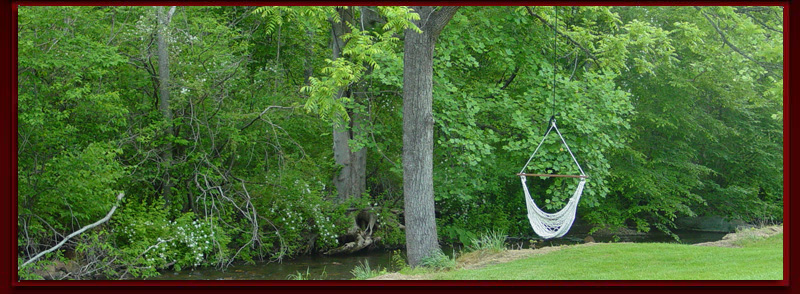 Relax in a hammock by the Rock Castle Creek