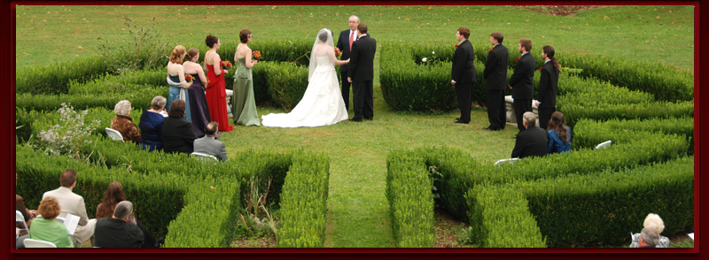 Bridal party in boxwood garden